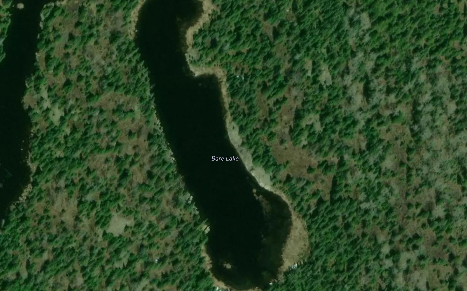 Satellite map of the Bare Lake