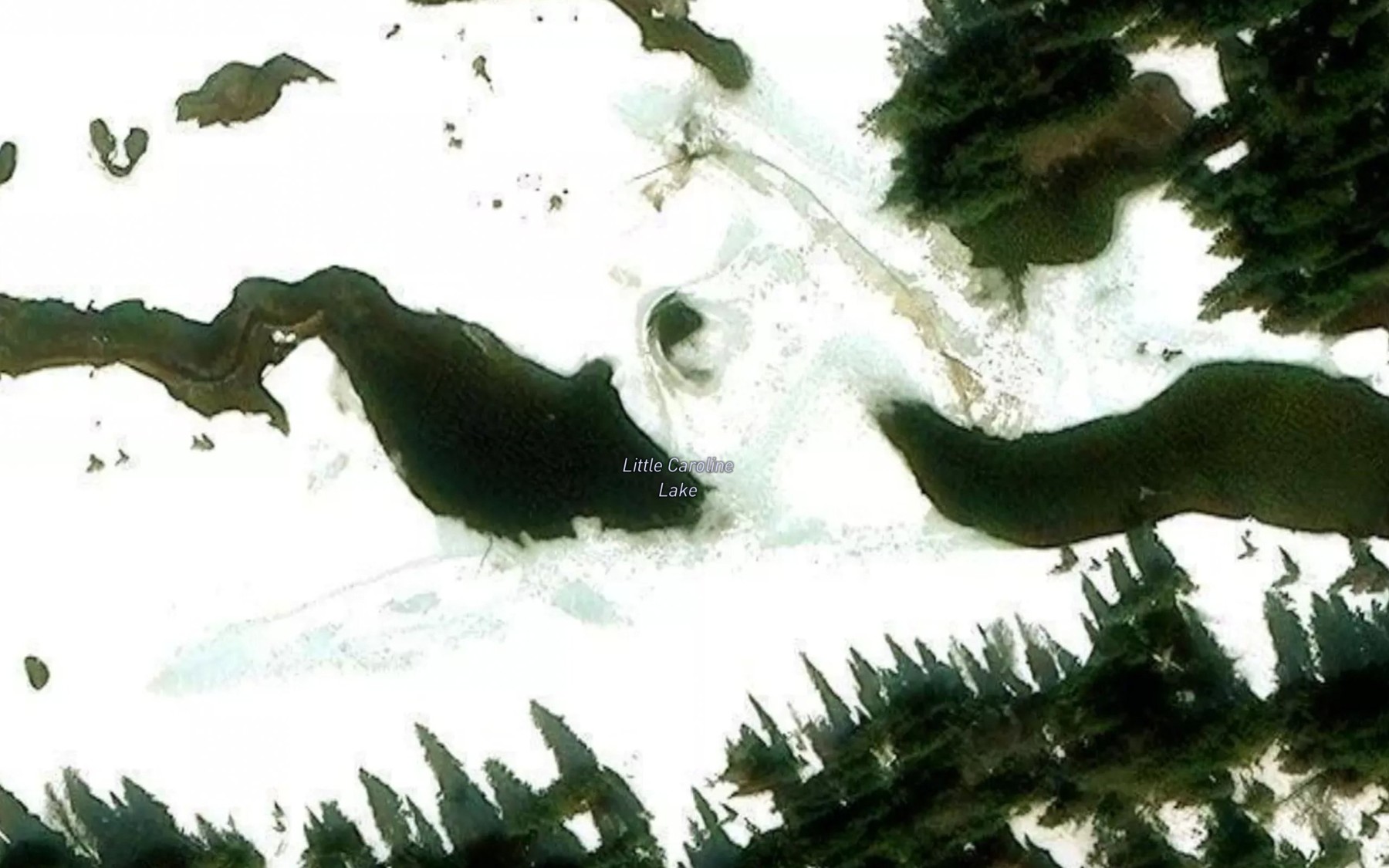 Satellite map of the Little Caroline Lake