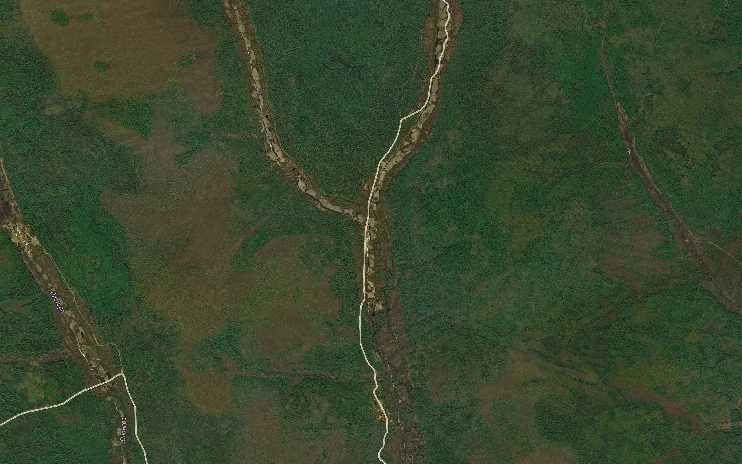 Levaya Burgali