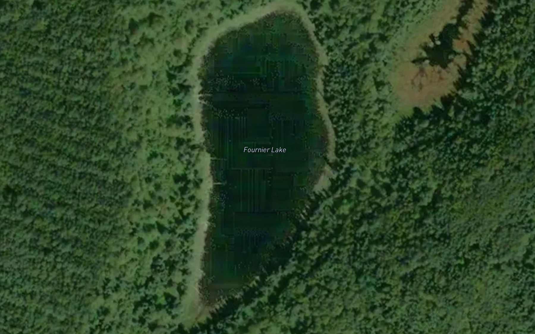 Satellite map of the Fournier Lake