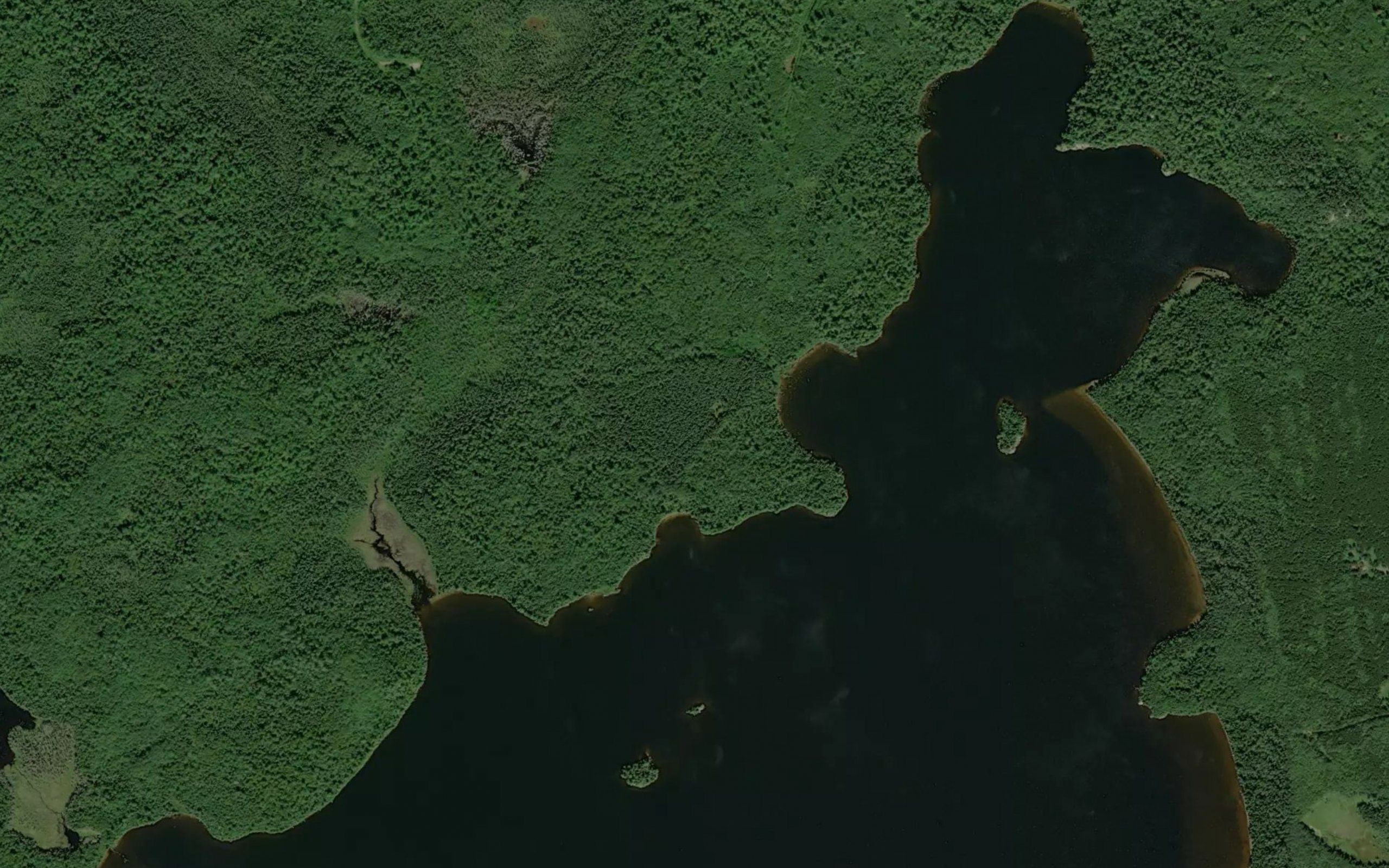 Trout Bay