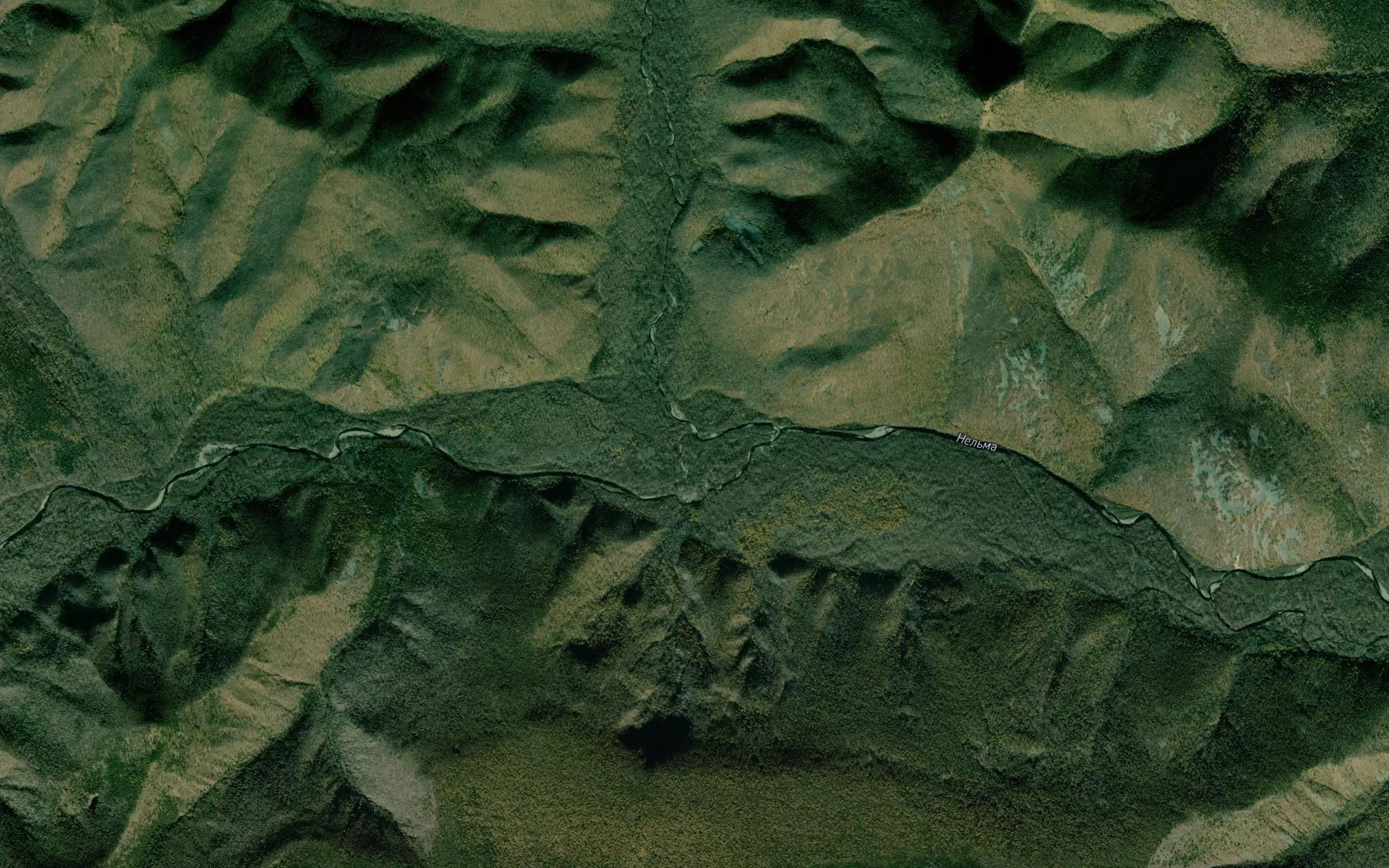 Kudyu
