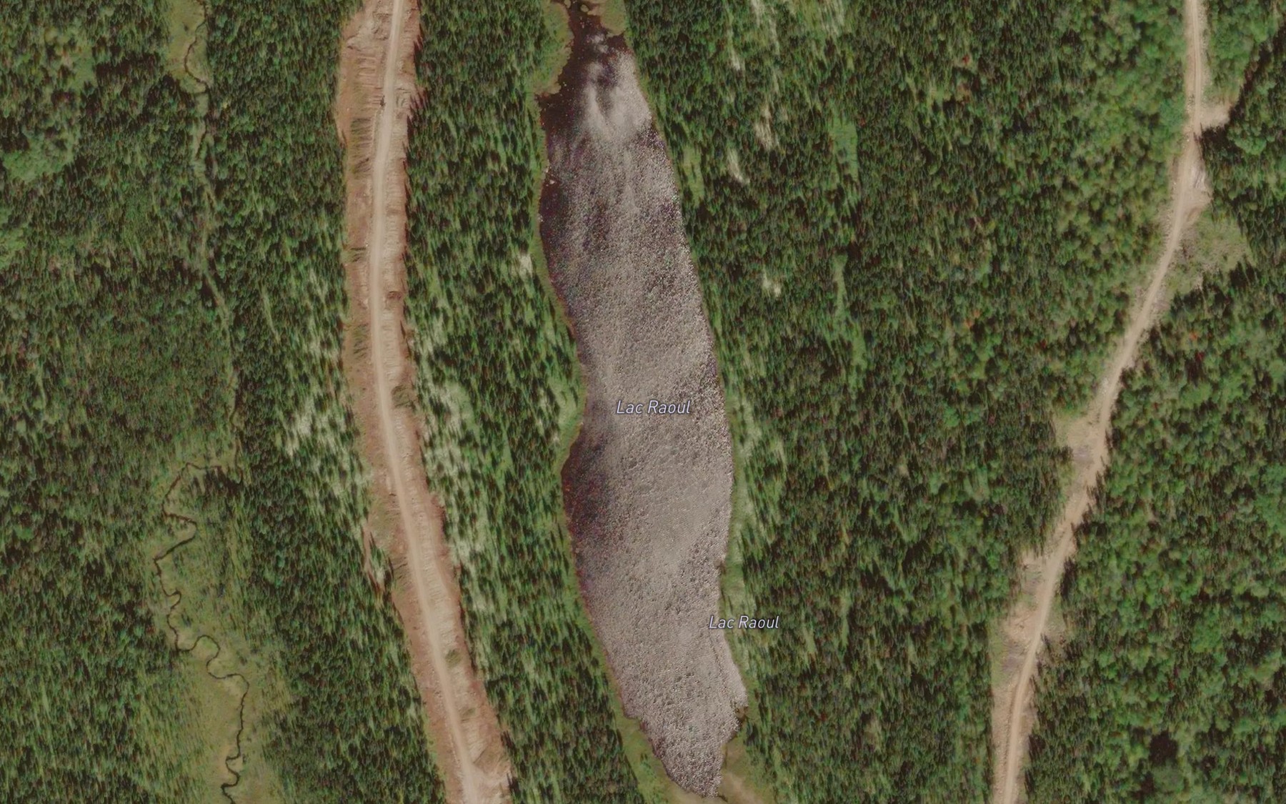 Satellite map of the Lac Raoul