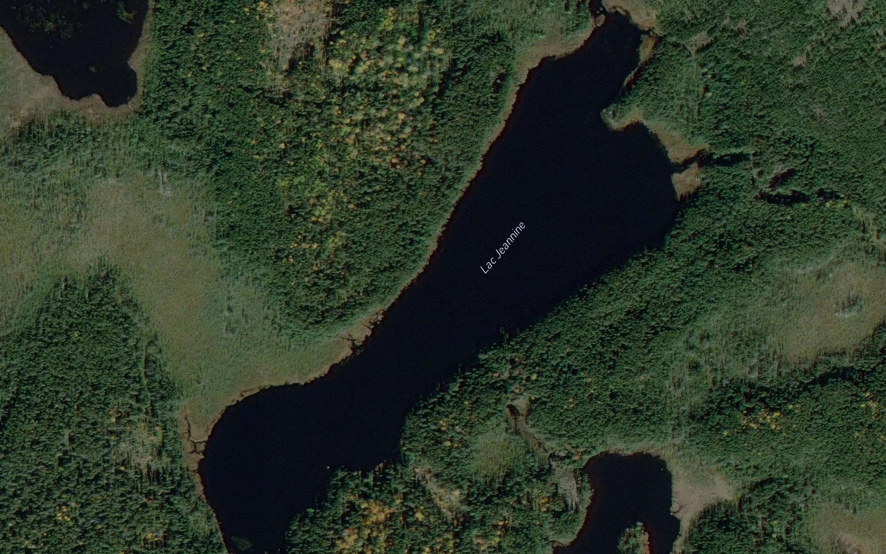 Satellite map of the Lac Jeannine
