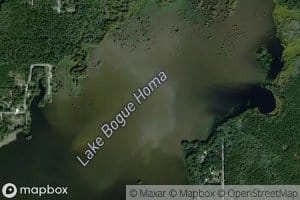 Lake Bogue Homo
