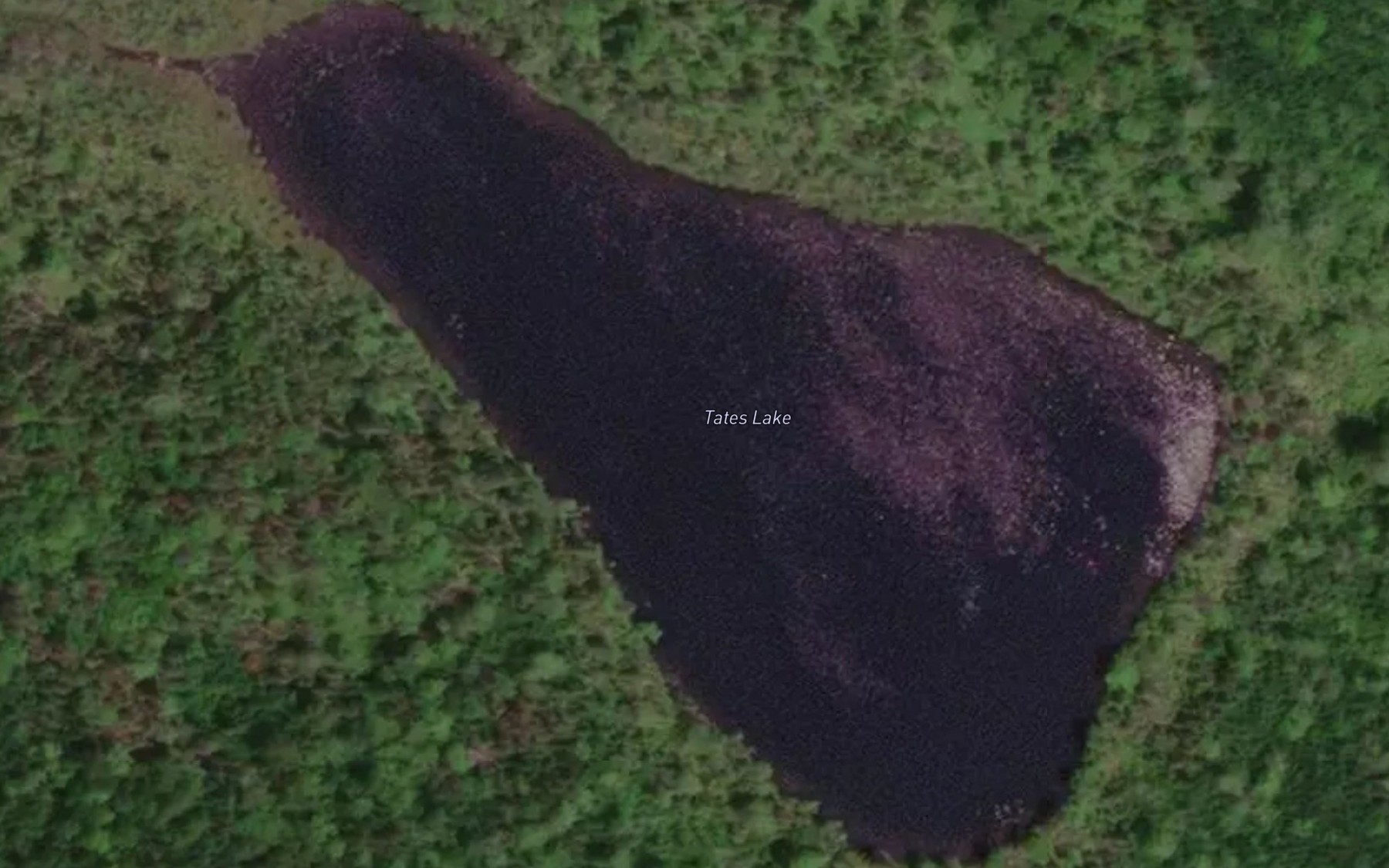 Satellite map of the Tates Lake