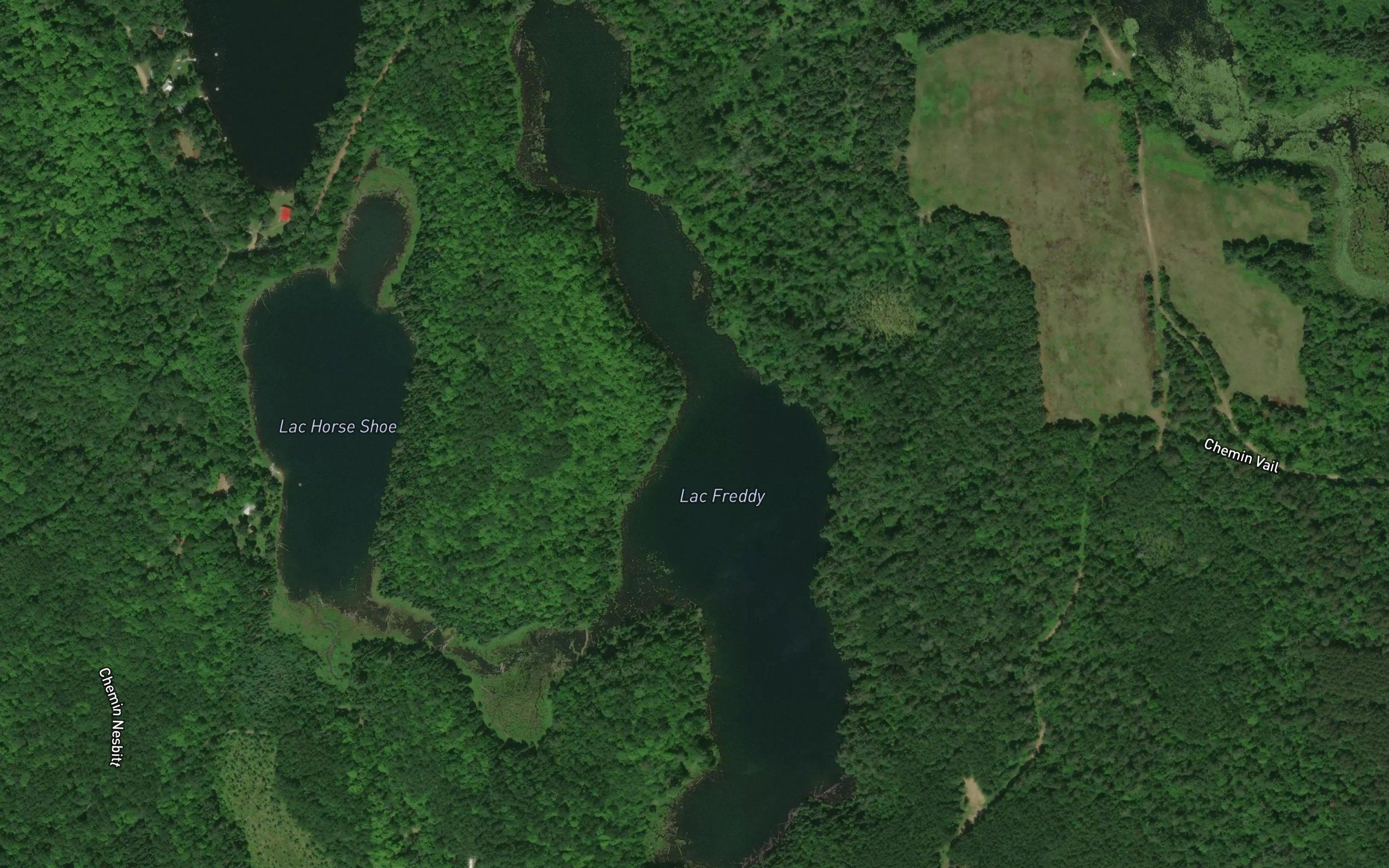 Lac Freddy