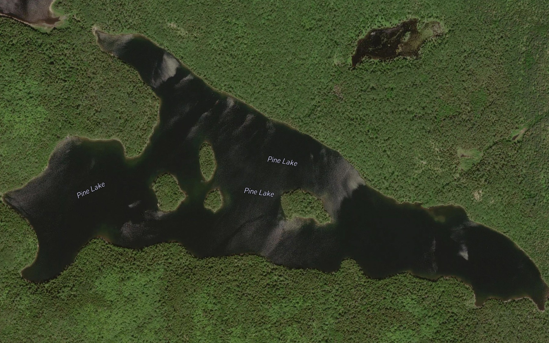 Satellite map of the Pine Lake
