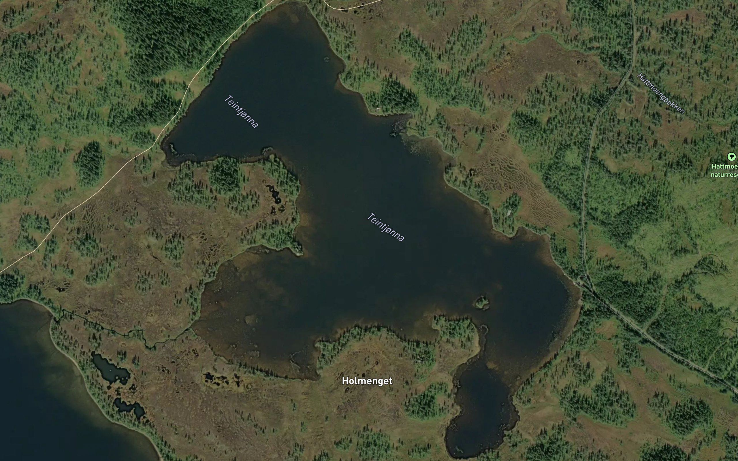 Teintjorna