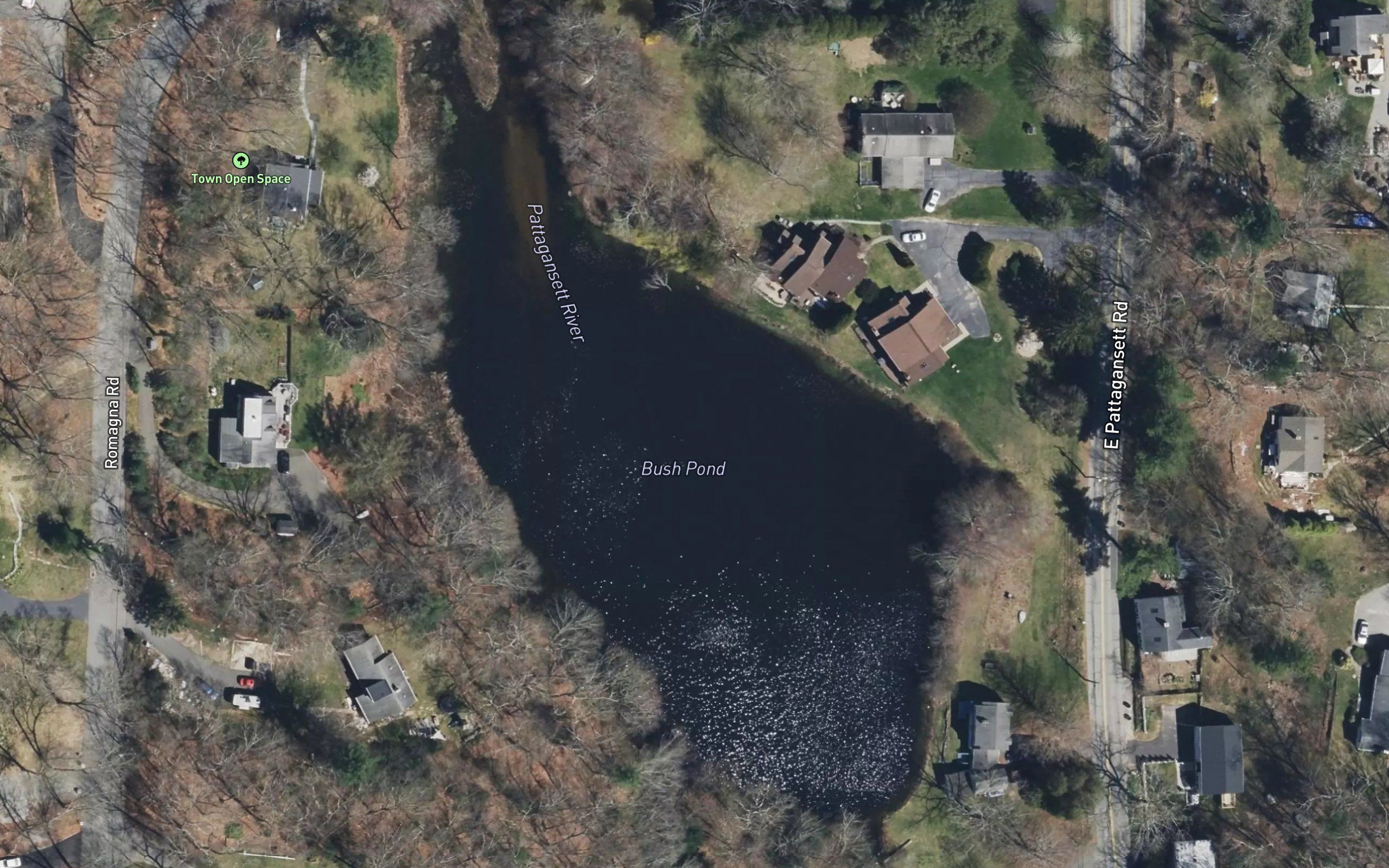 Bush Pond