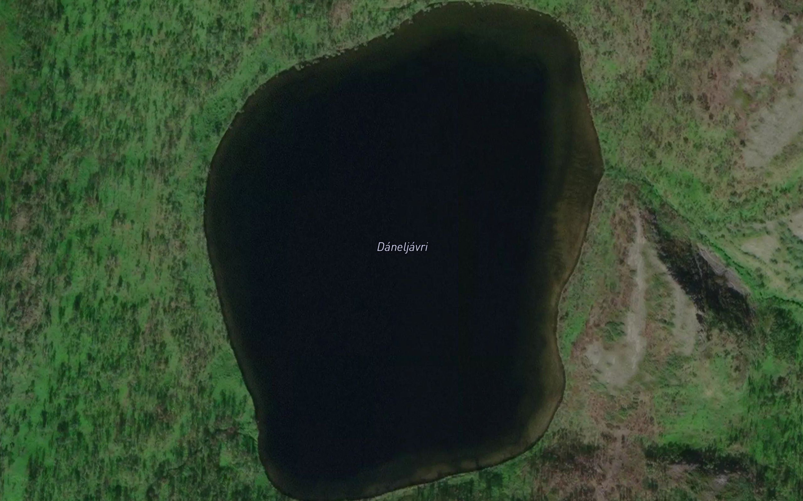 Daneljavri