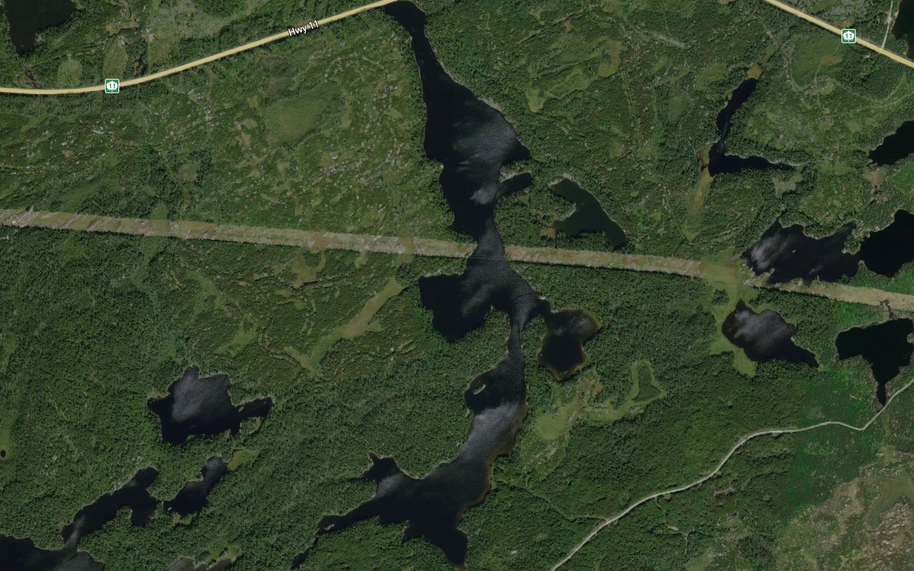 Satellite map of the Arbour Lake