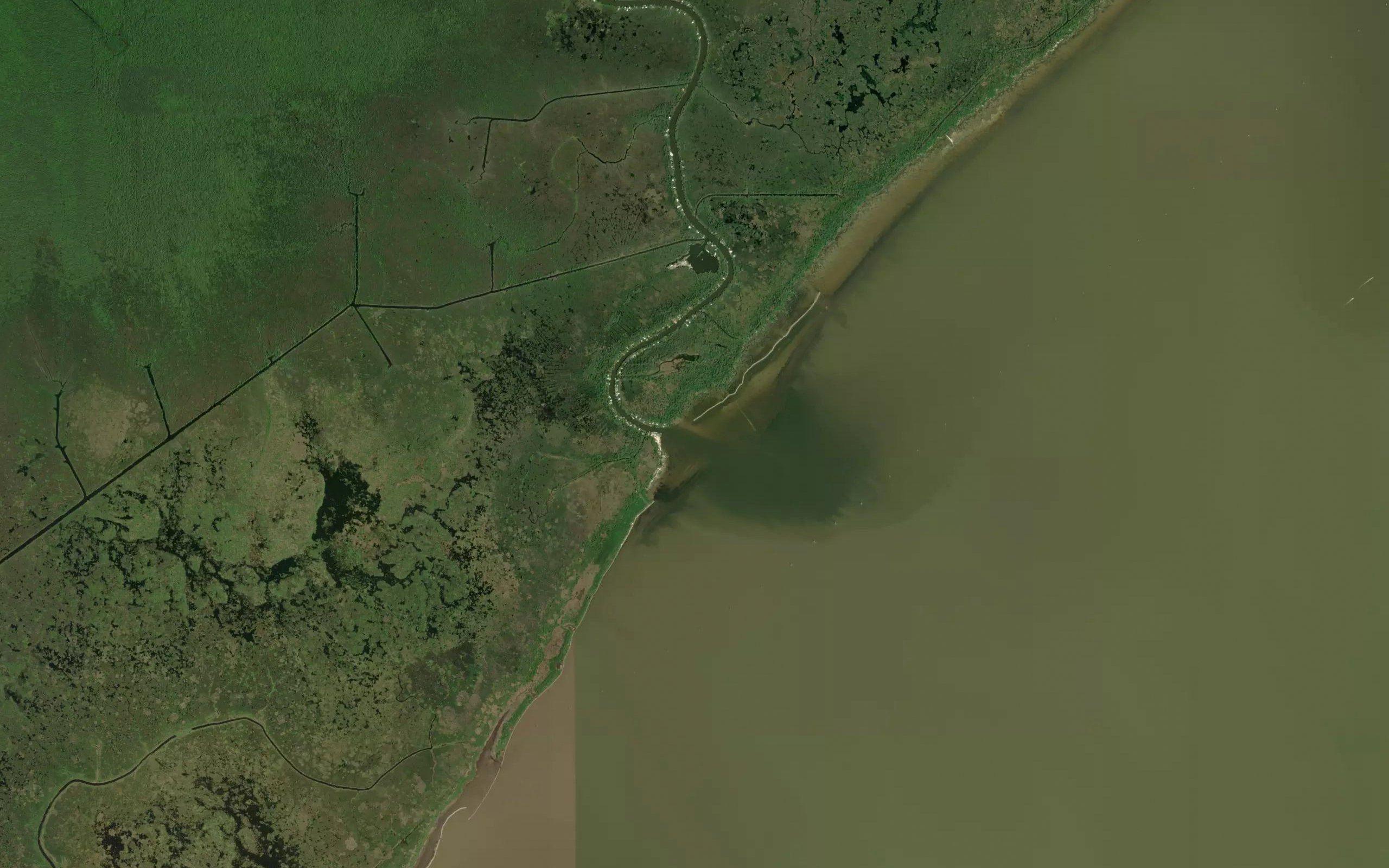 Tangipahoa River