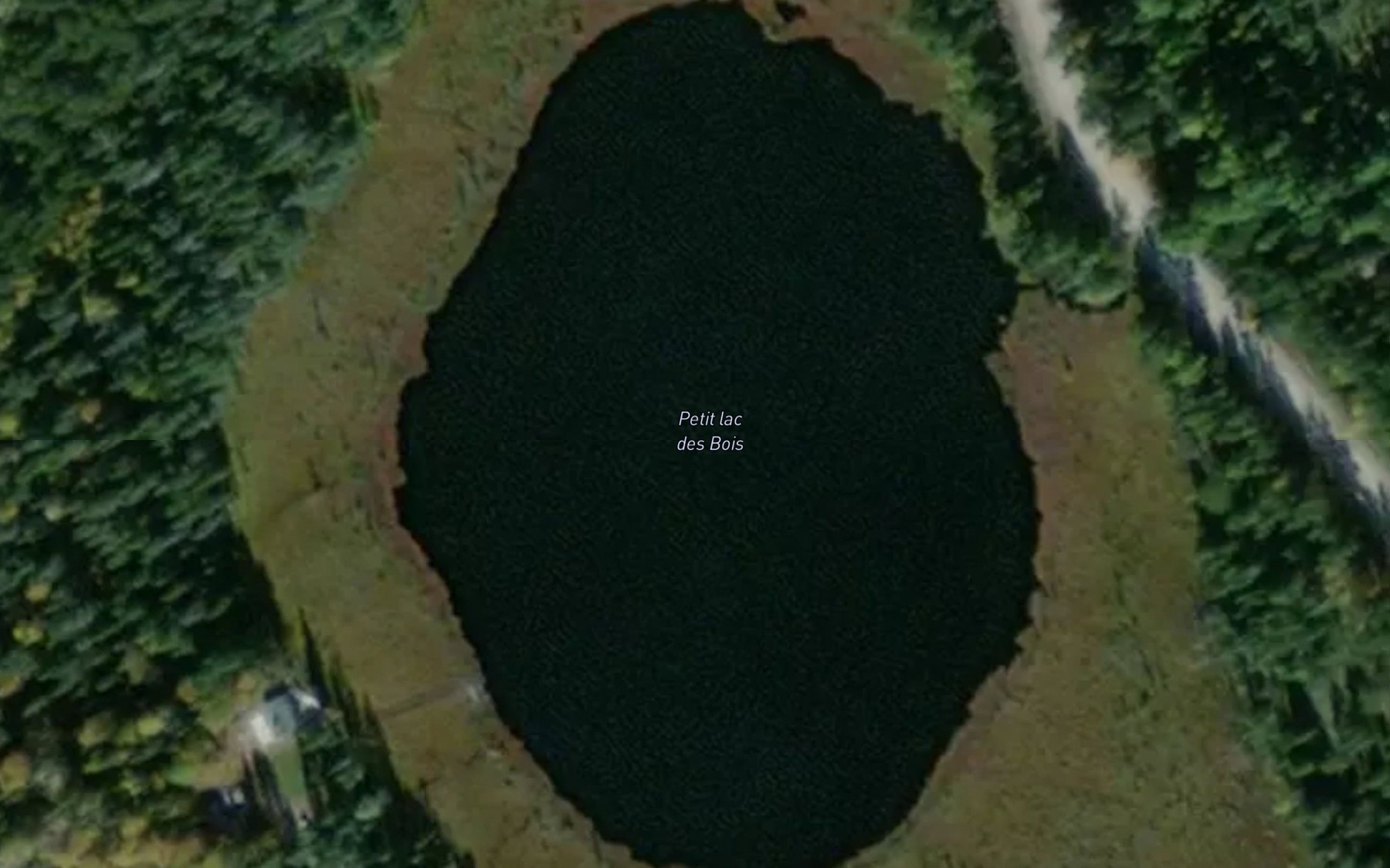Satellite map of the Petit lac des Bois