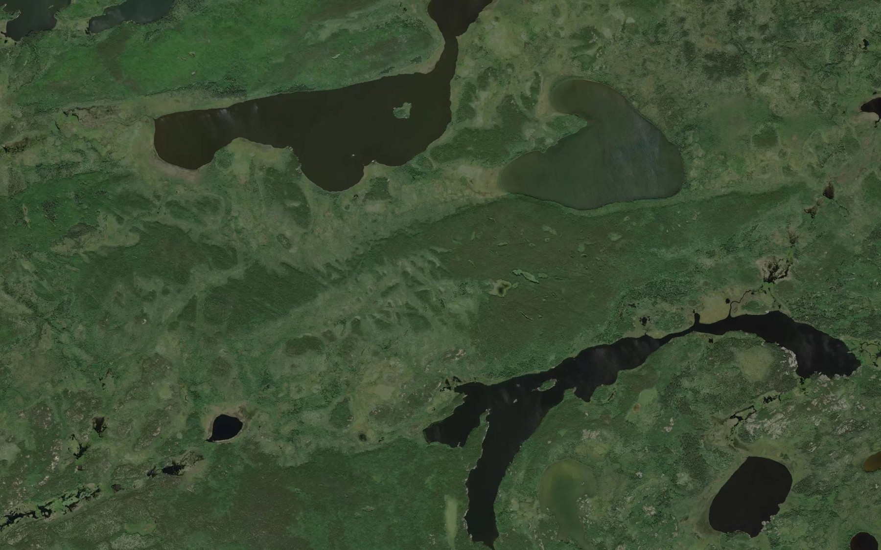 Satellite map of the McHaffie-Gow Lake