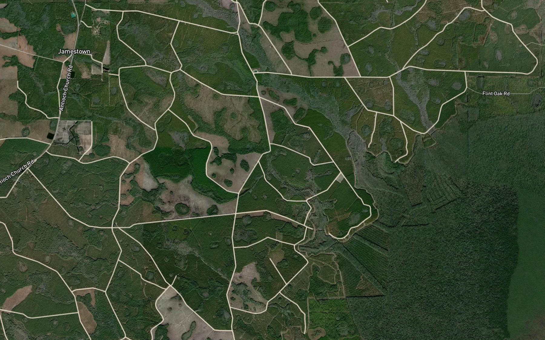 Satellite map of the Goose Branch