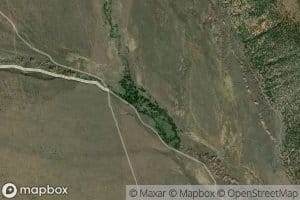 Timothy Creek