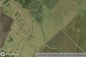 Gardner Slough