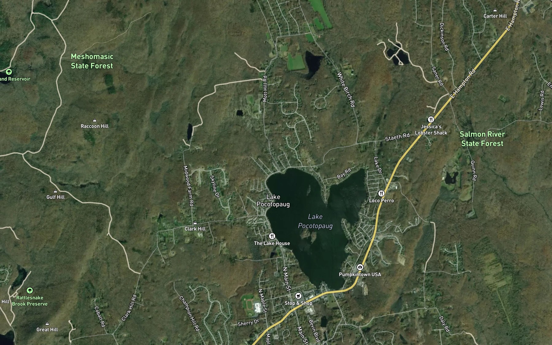 Satellite map of the Hales Brook