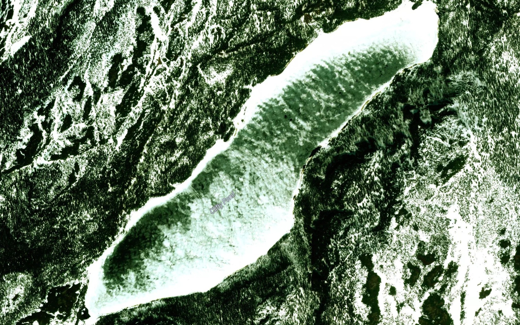 Satellite map of the Clifty Pond