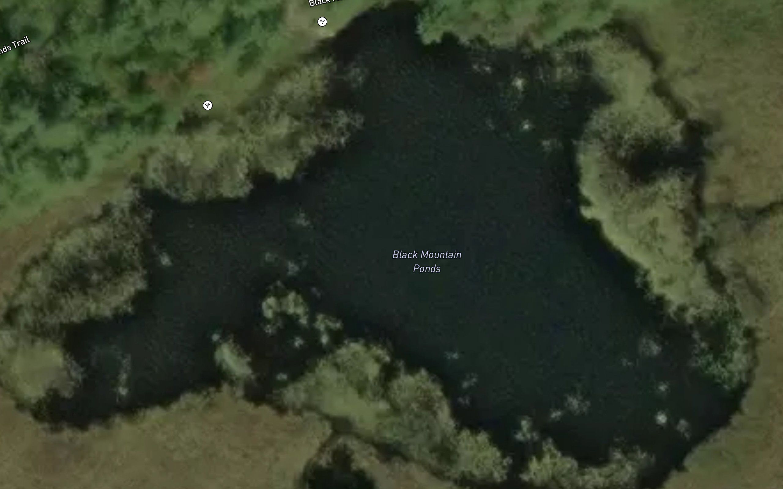 Black Mountain Ponds