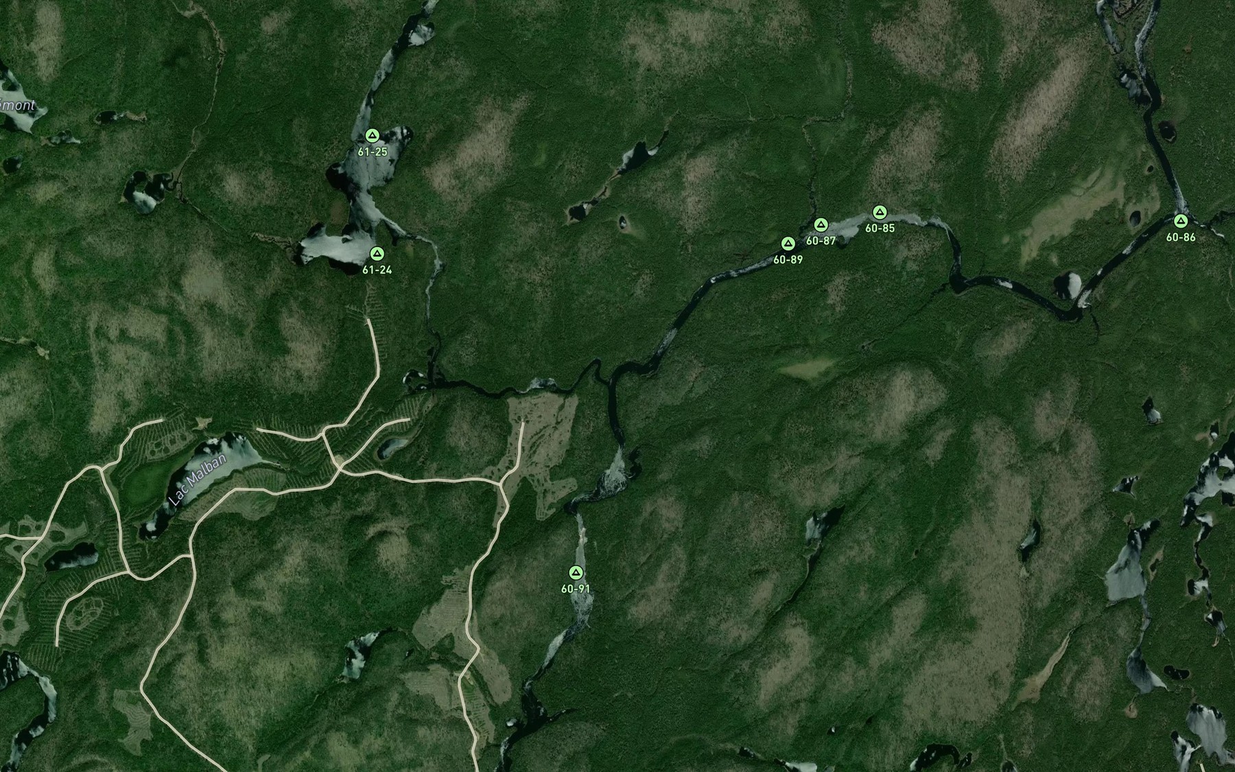 Satellite map of the Riviere Canimiti