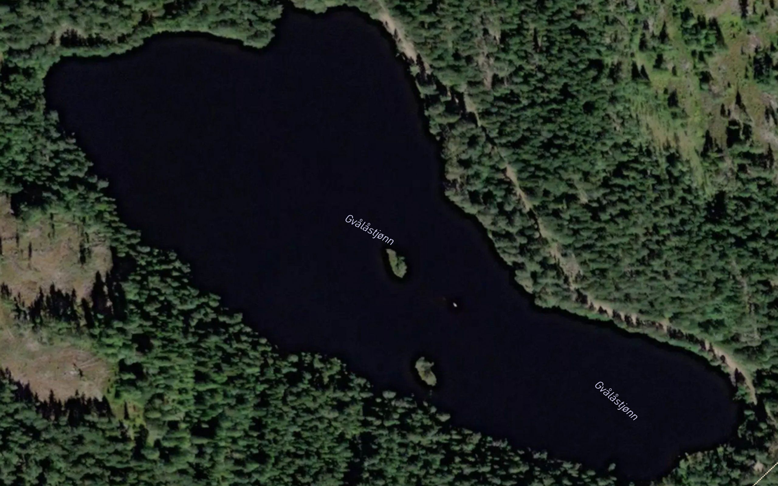 Gvalastjorna