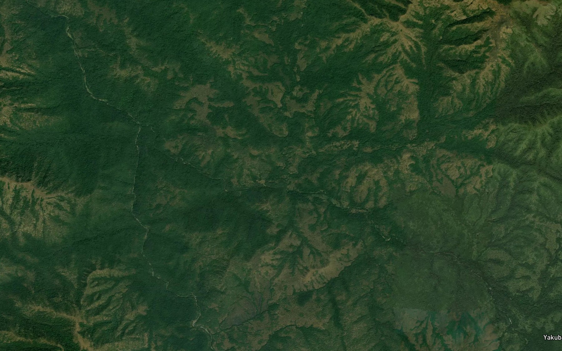 Satellite map of the Tapare
