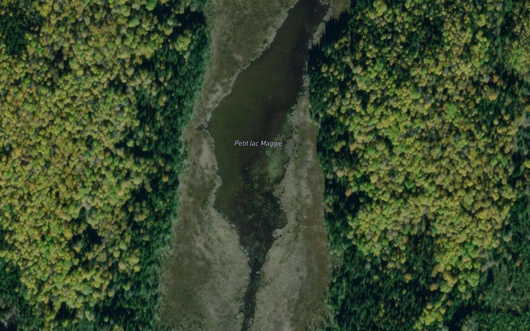 Satellite map of the Petit lac Maggie