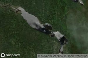Lac Alligator