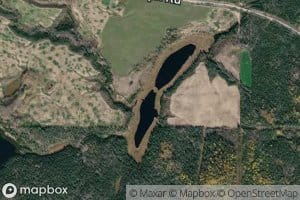Goldie Pond