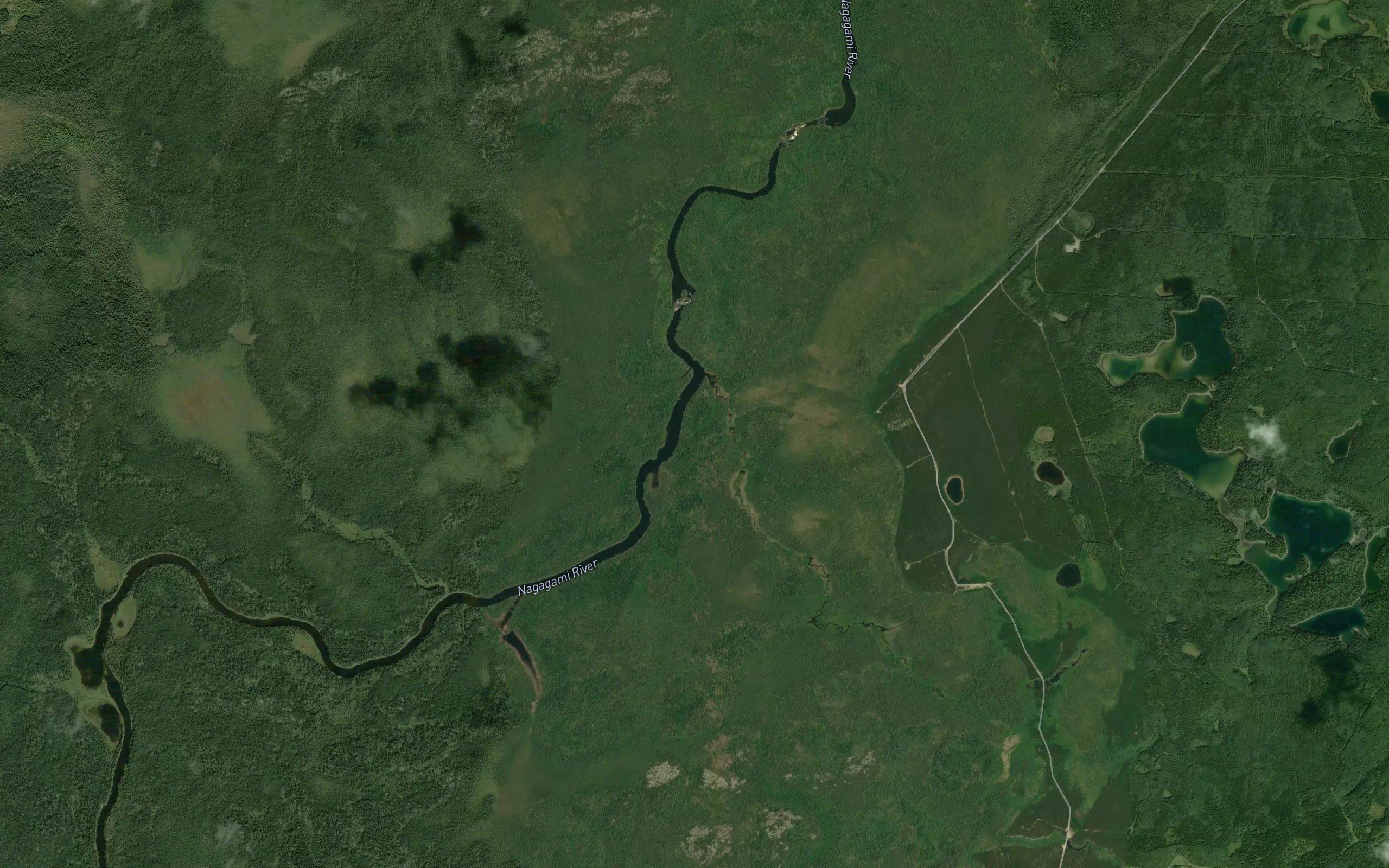 Trout Rapids