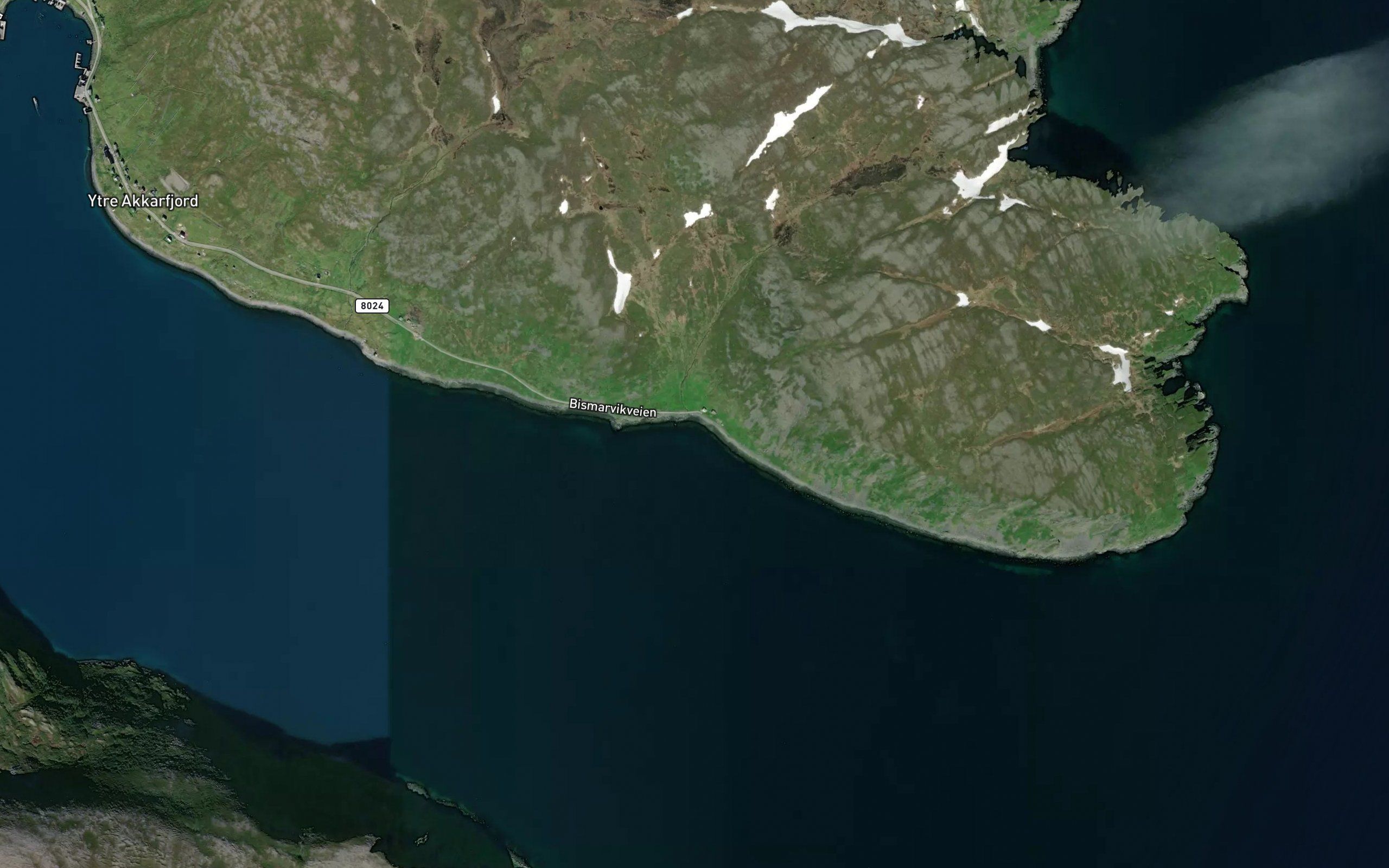 Bismarvika