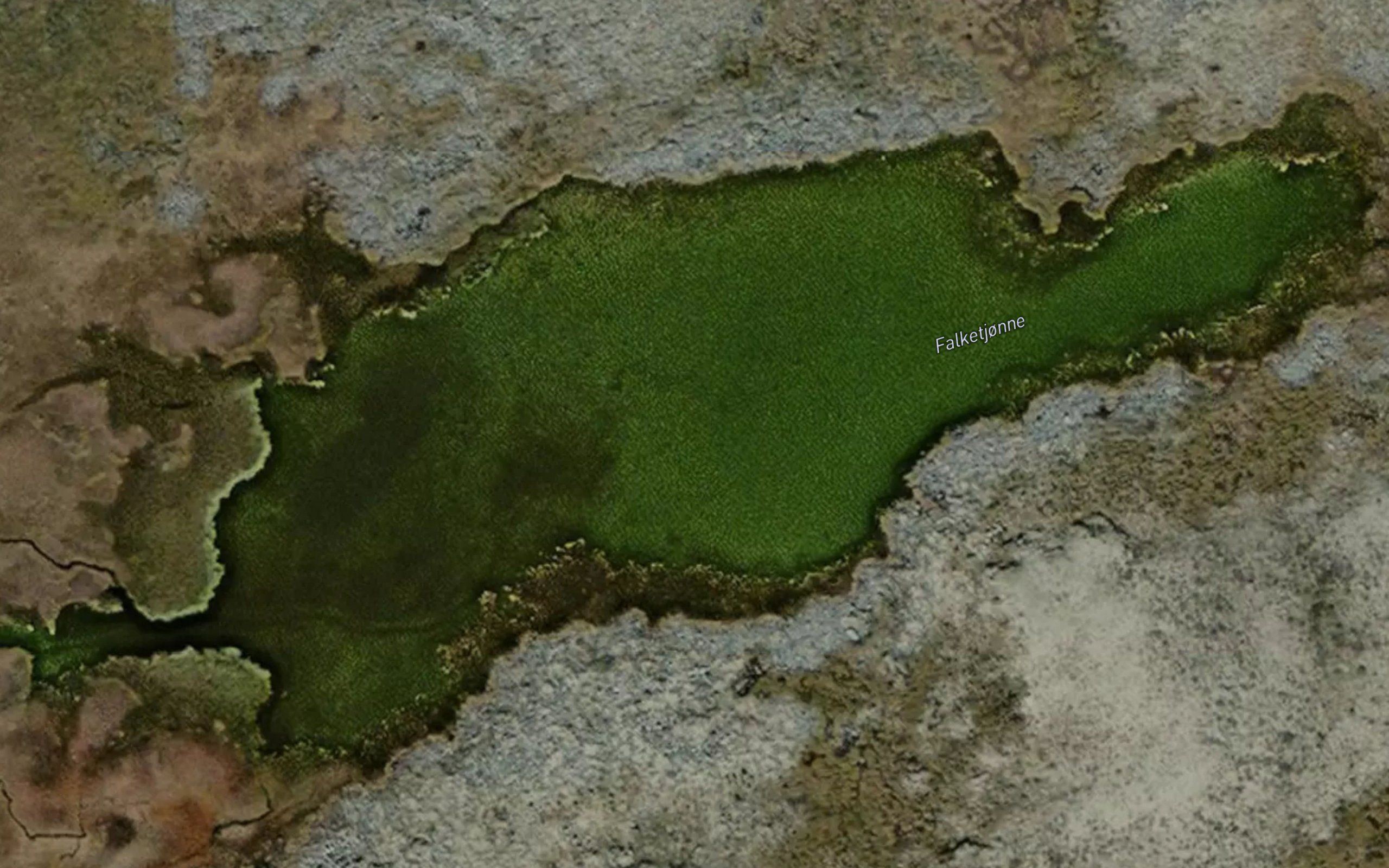 Lesjatjorni