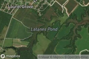 Latanes Pond