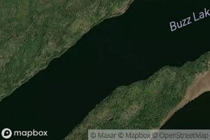 Buzz Lake