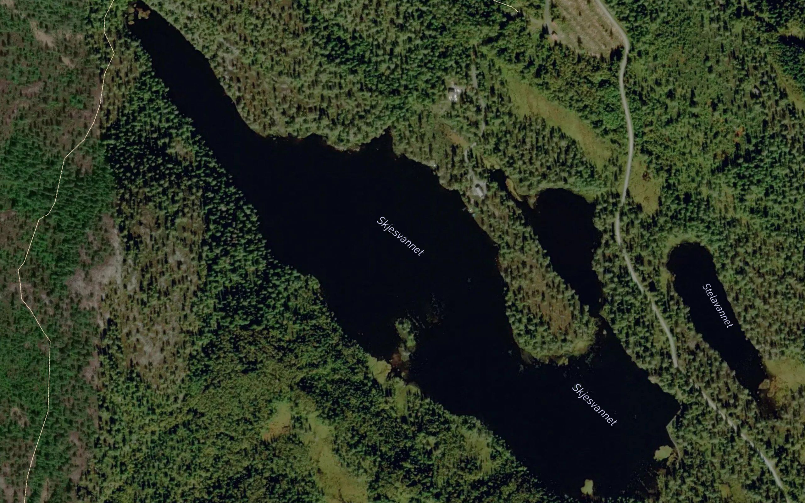 Skjesvannet