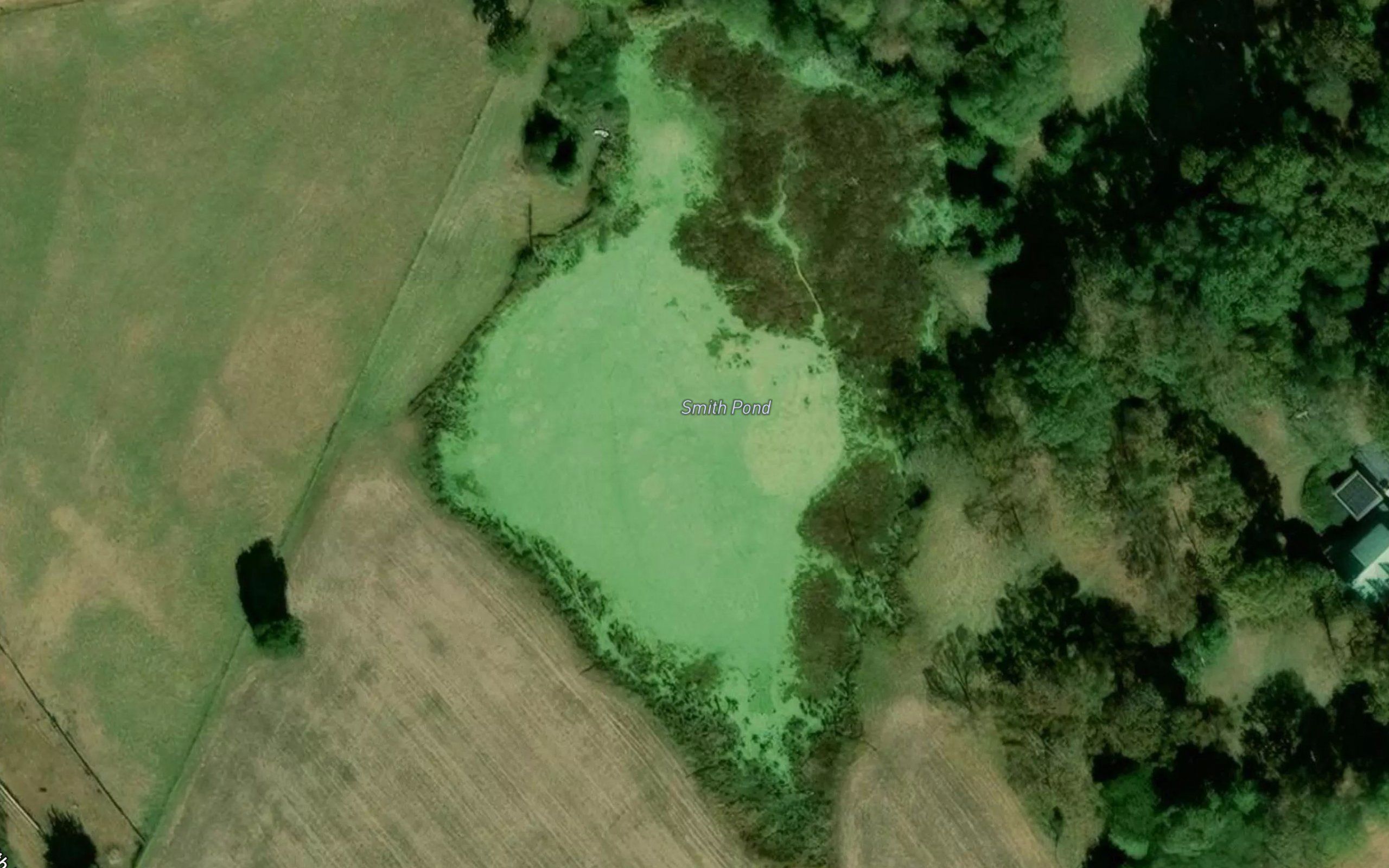 Smith Pond