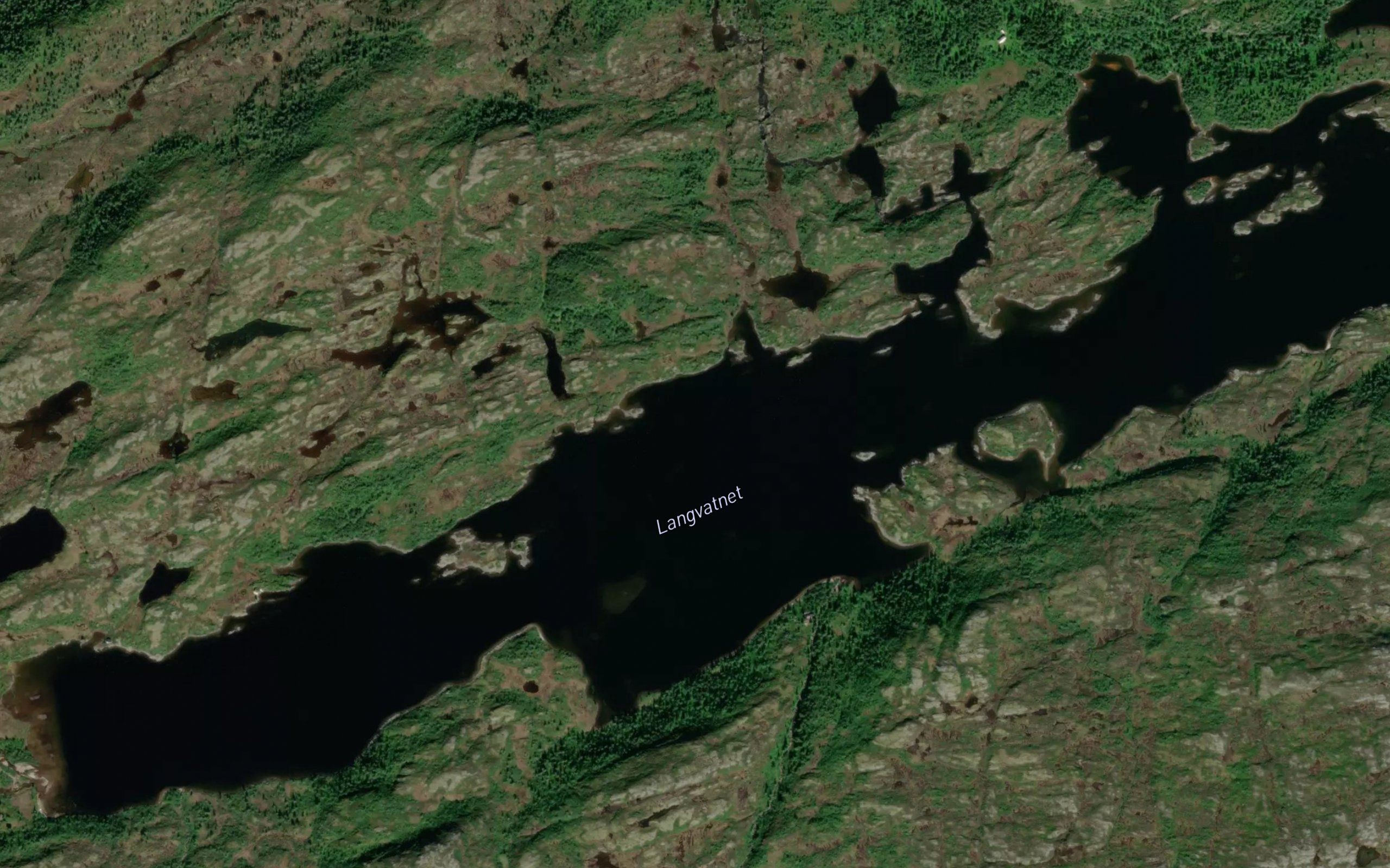 Langvatnet