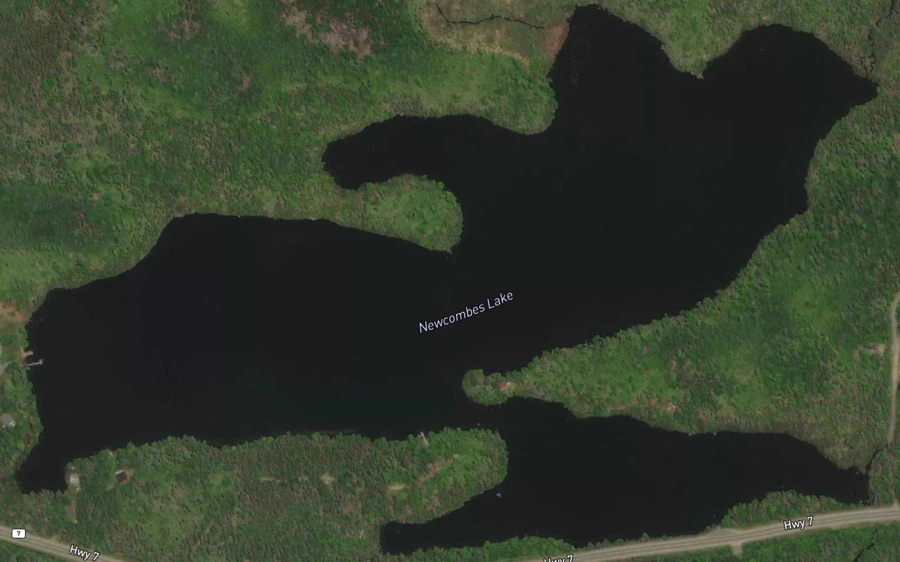Satellite map of the Newcombes Lake