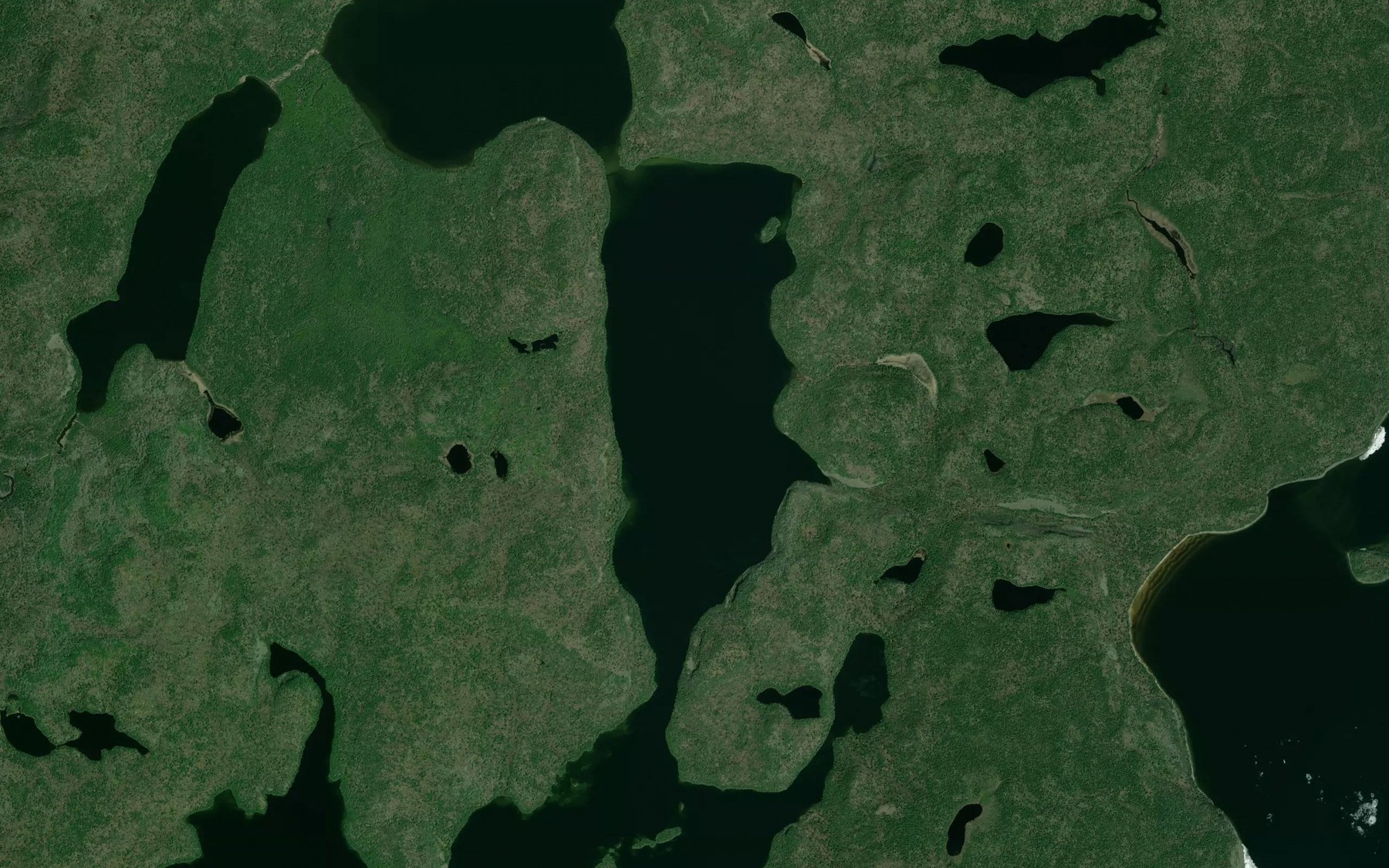 Satellite map of the Castle Lake