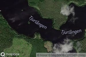 Tjurlangen