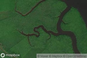 Duck Bayou