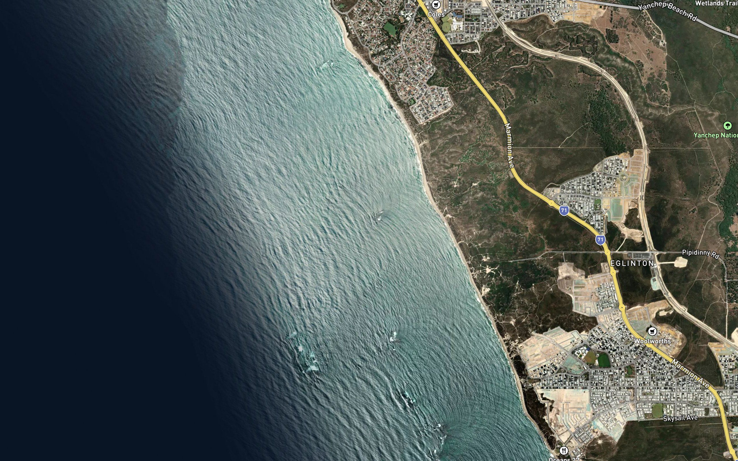El Reef