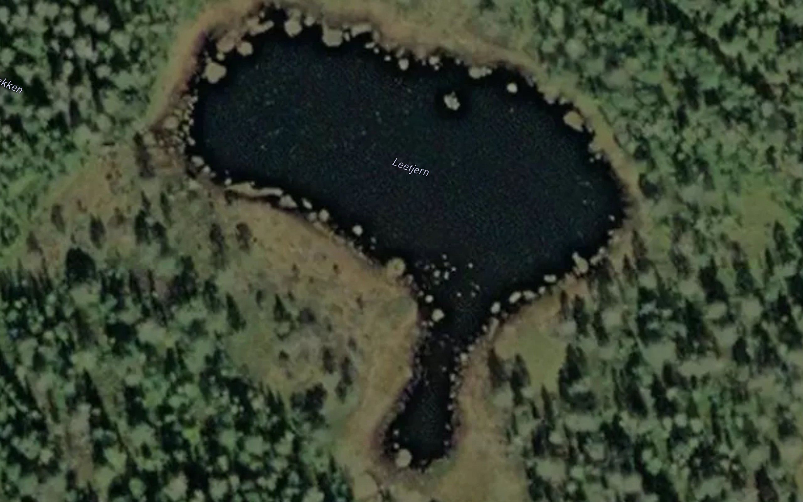 Leetjern
