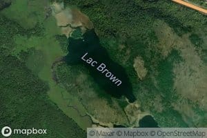 Lac Brown