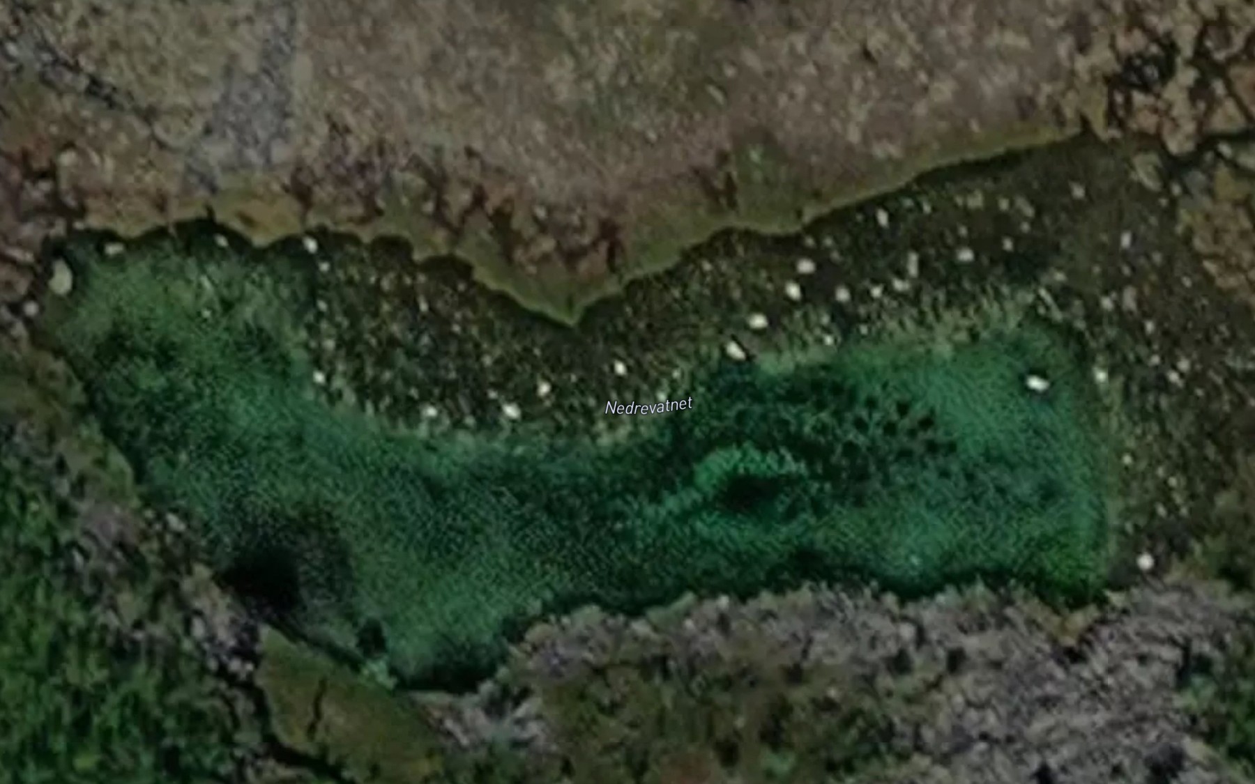Satellite map of the Nedrevatnet