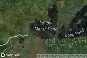 Yellow Marsh Pond