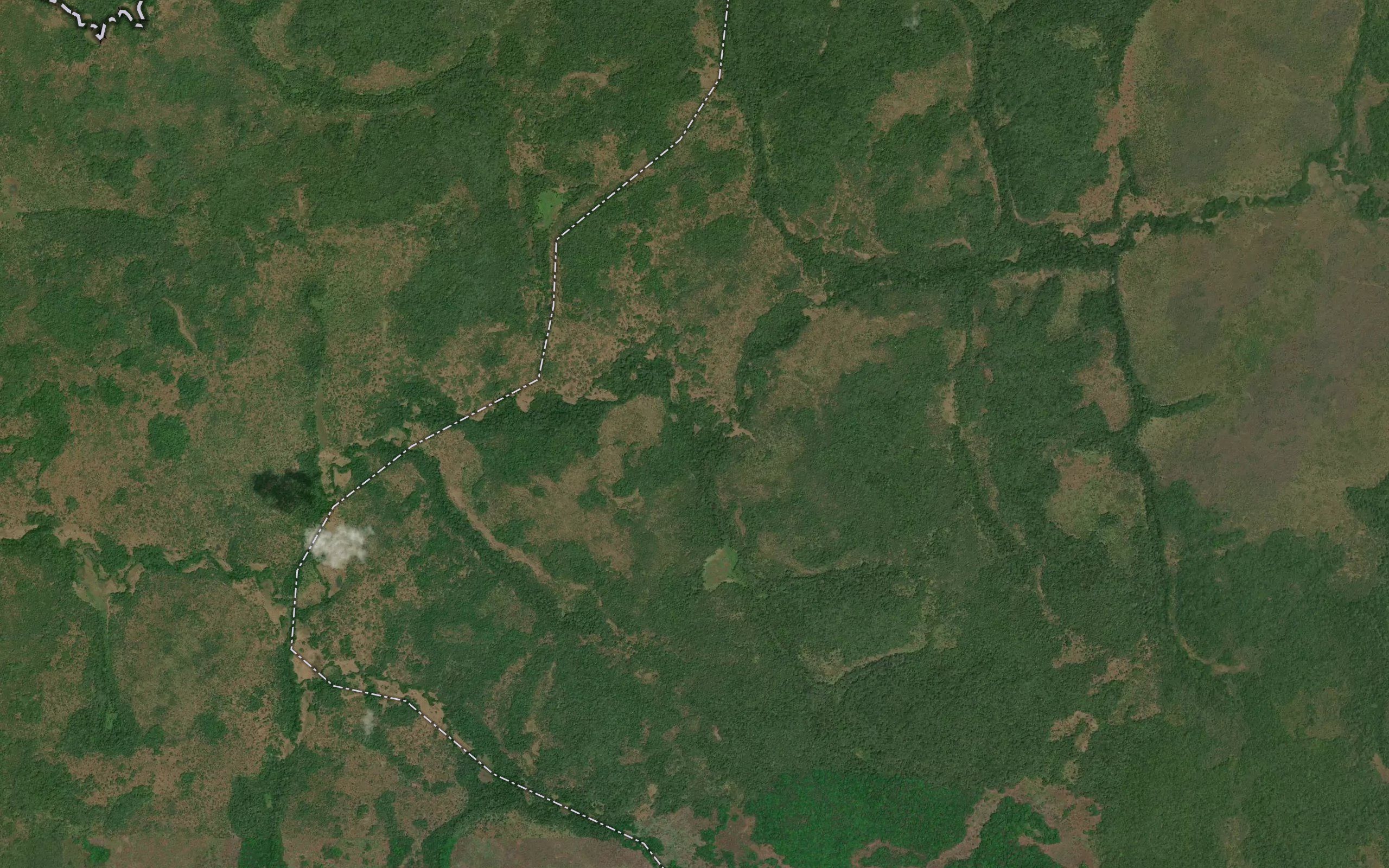 Mongweli