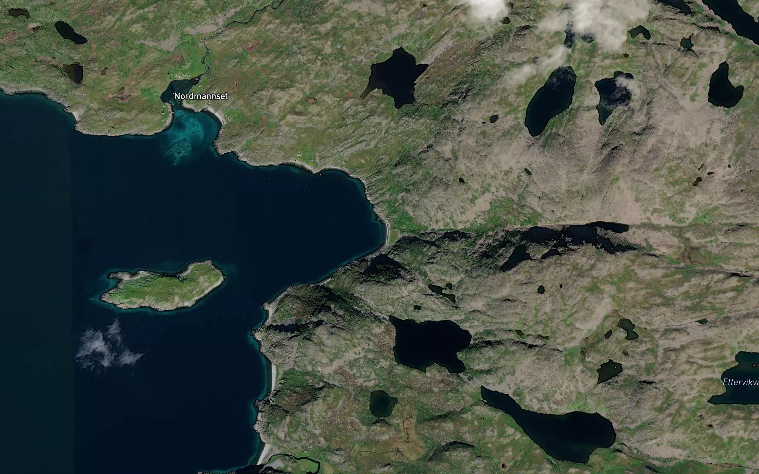 Ettervika